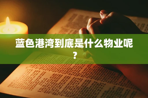 蓝色港湾到底是什么物业呢？