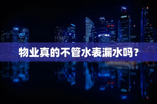 物业真的不管水表漏水吗？