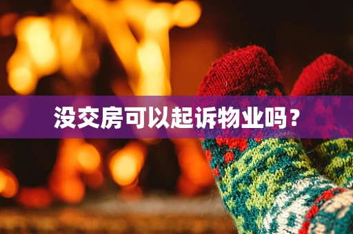 没交房可以起诉物业吗？