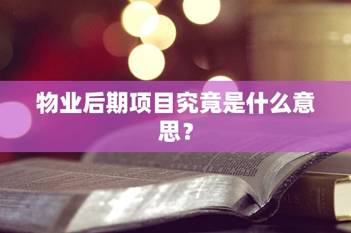 物业后期项目究竟是什么意思？