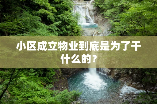 小区成立物业到底是为了干什么的？