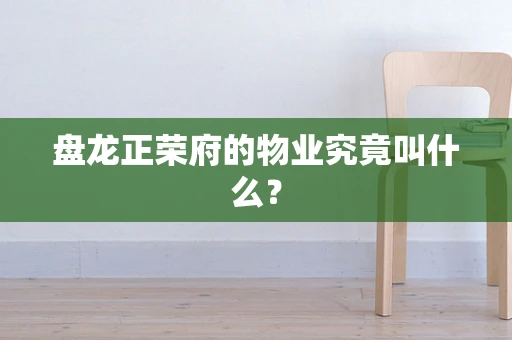 盘龙正荣府的物业究竟叫什么？
