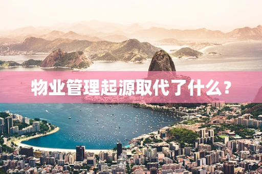 物业管理起源取代了什么？