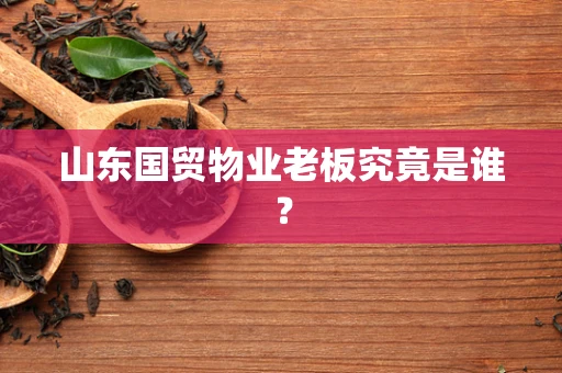 山东国贸物业老板究竟是谁？