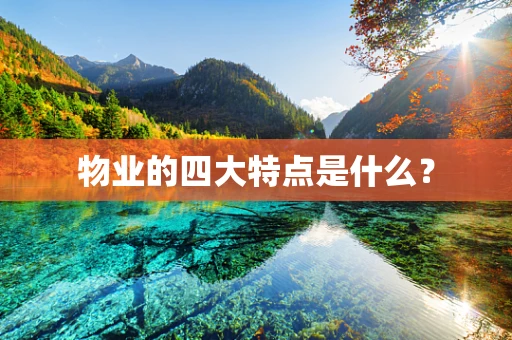 物业的四大特点是什么？