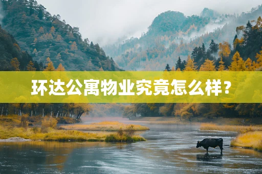 环达公寓物业究竟怎么样？