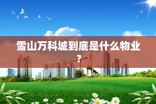 雪山万科城到底是什么物业？