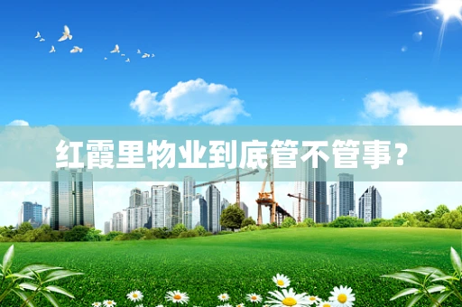 红霞里物业到底管不管事？
