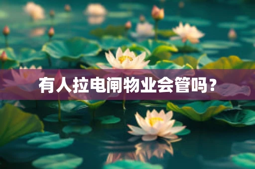 有人拉电闸物业会管吗？