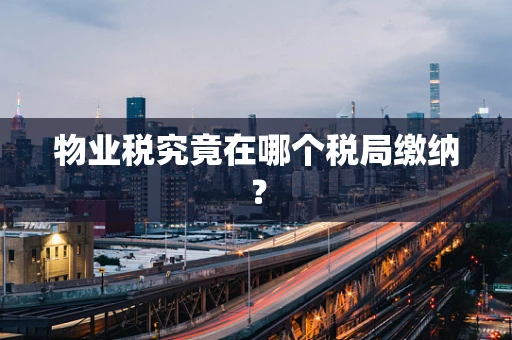 物业税究竟在哪个税局缴纳？