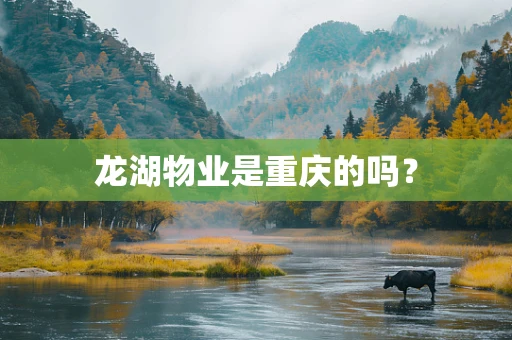 龙湖物业是重庆的吗？