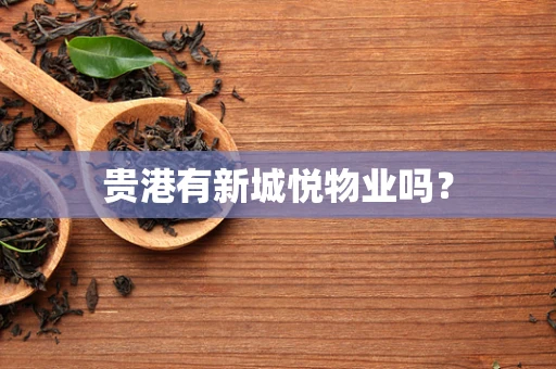 贵港有新城悦物业吗？