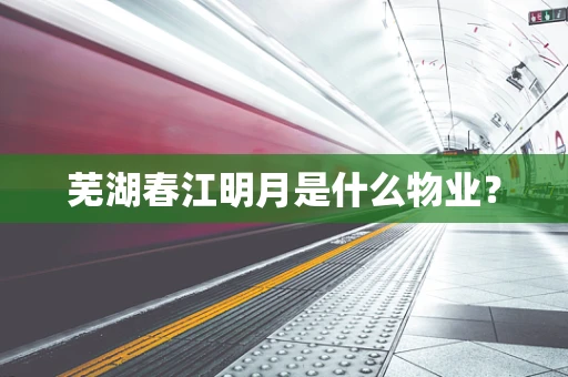 芜湖春江明月是什么物业？