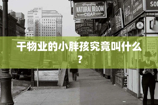 干物业的小胖孩究竟叫什么？