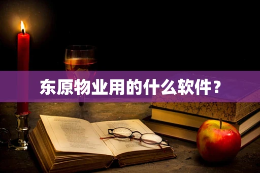 东原物业用的什么软件？