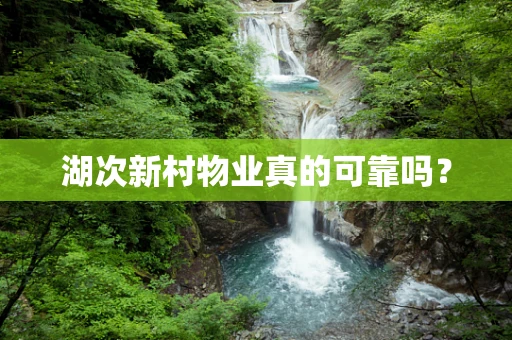 湖次新村物业真的可靠吗？