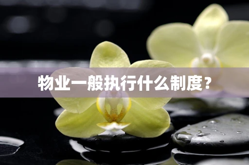 物业一般执行什么制度？