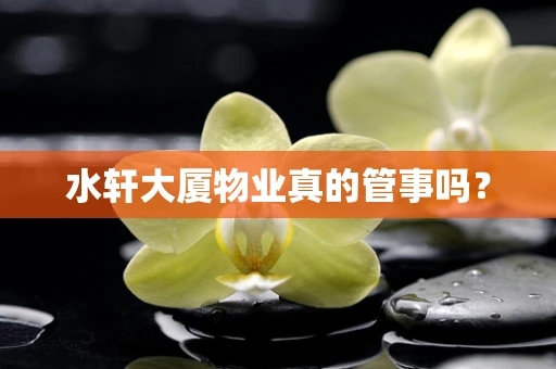 水轩大厦物业真的管事吗？