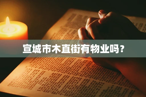 宣城市木直街有物业吗？