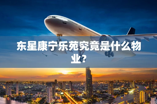 东星康宁乐苑究竟是什么物业？