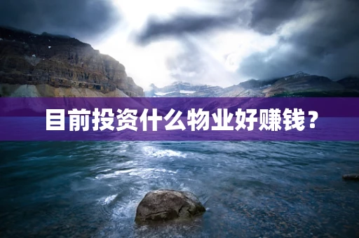 目前投资什么物业好赚钱？