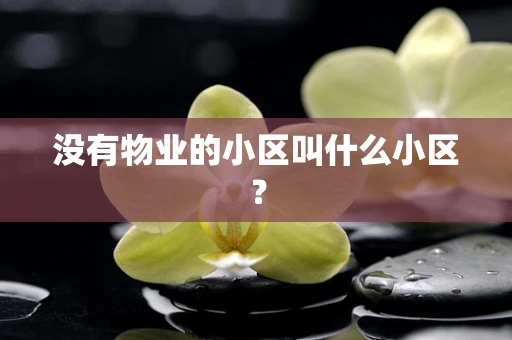 没有物业的小区叫什么小区？