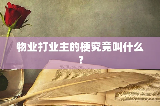 物业打业主的梗究竟叫什么？