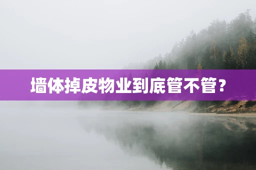 墙体掉皮物业到底管不管？