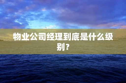 物业公司经理到底是什么级别？