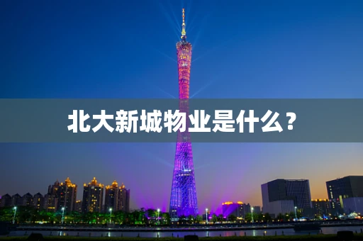 北大新城物业是什么？