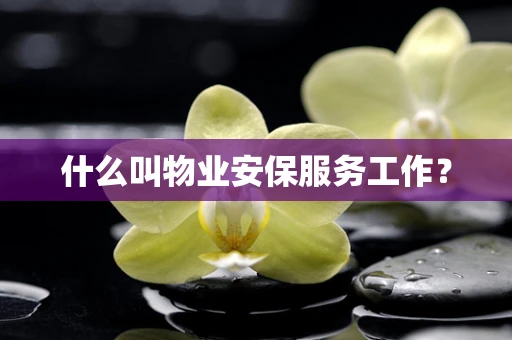 什么叫物业安保服务工作？