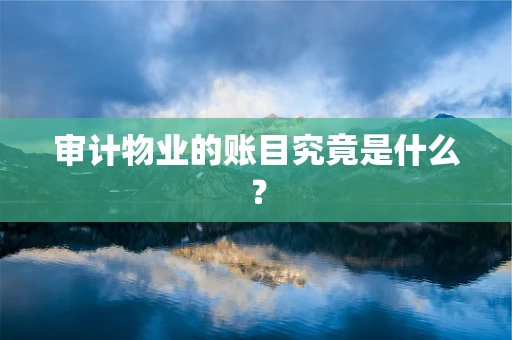审计物业的账目究竟是什么？