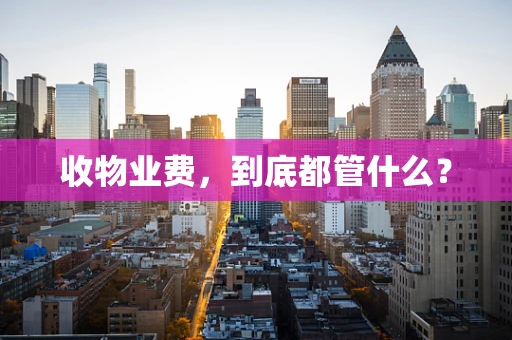收物业费，到底都管什么？