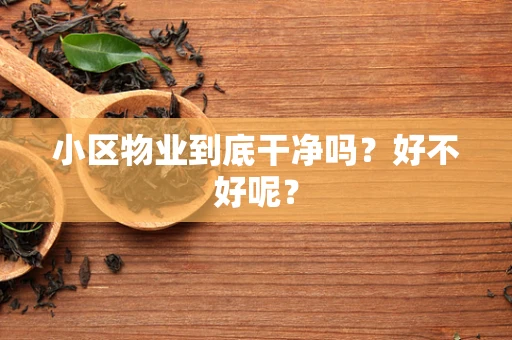 小区物业到底干净吗？好不好呢？