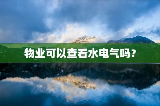 物业可以查看水电气吗？