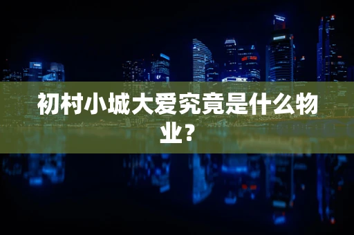 初村小城大爱究竟是什么物业？