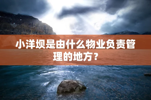小洋坝是由什么物业负责管理的地方？