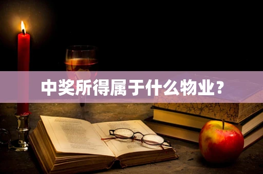 中奖所得属于什么物业？