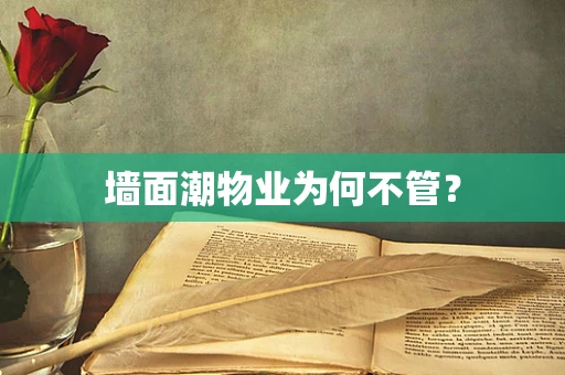 墙面潮物业为何不管？