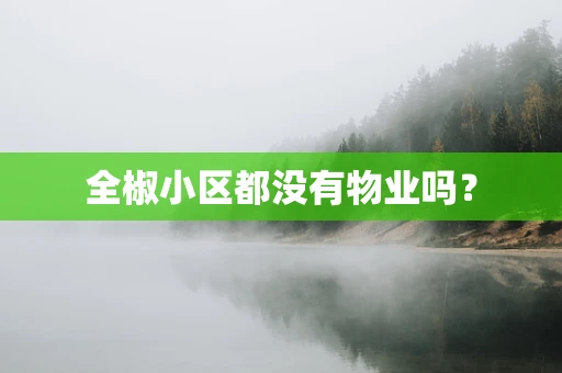 全椒小区都没有物业吗？