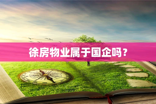 徐房物业属于国企吗？