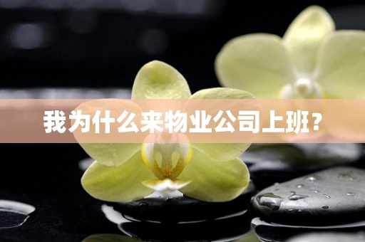 我为什么来物业公司上班？