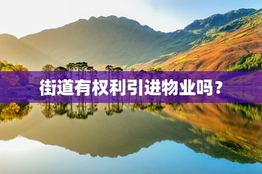 街道有权利引进物业吗？