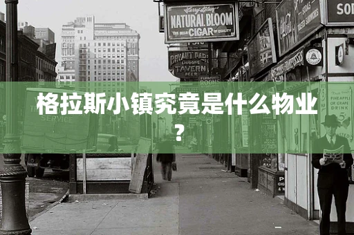 格拉斯小镇究竟是什么物业？