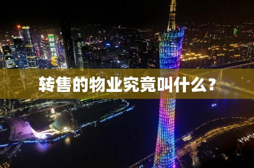 转售的物业究竟叫什么？