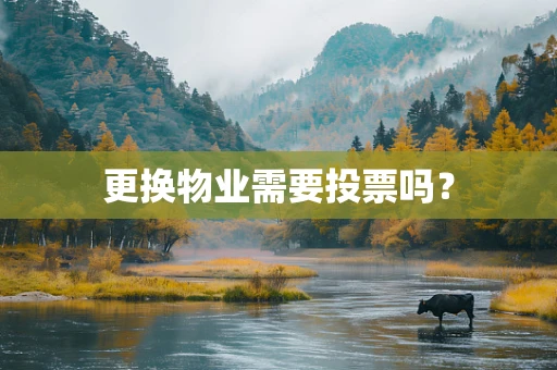 更换物业需要投票吗？