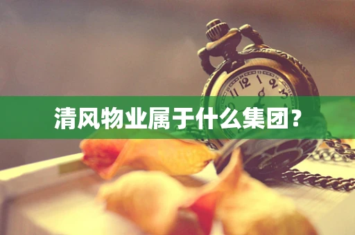 清风物业属于什么集团？