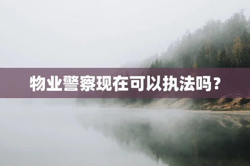 物业警察现在可以执法吗？