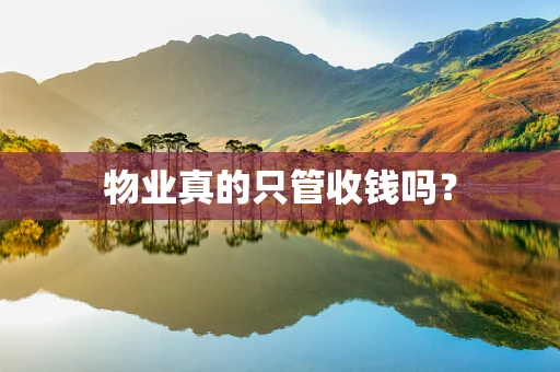 物业真的只管收钱吗？