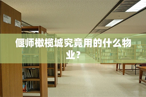 偃师橄榄城究竟用的什么物业？